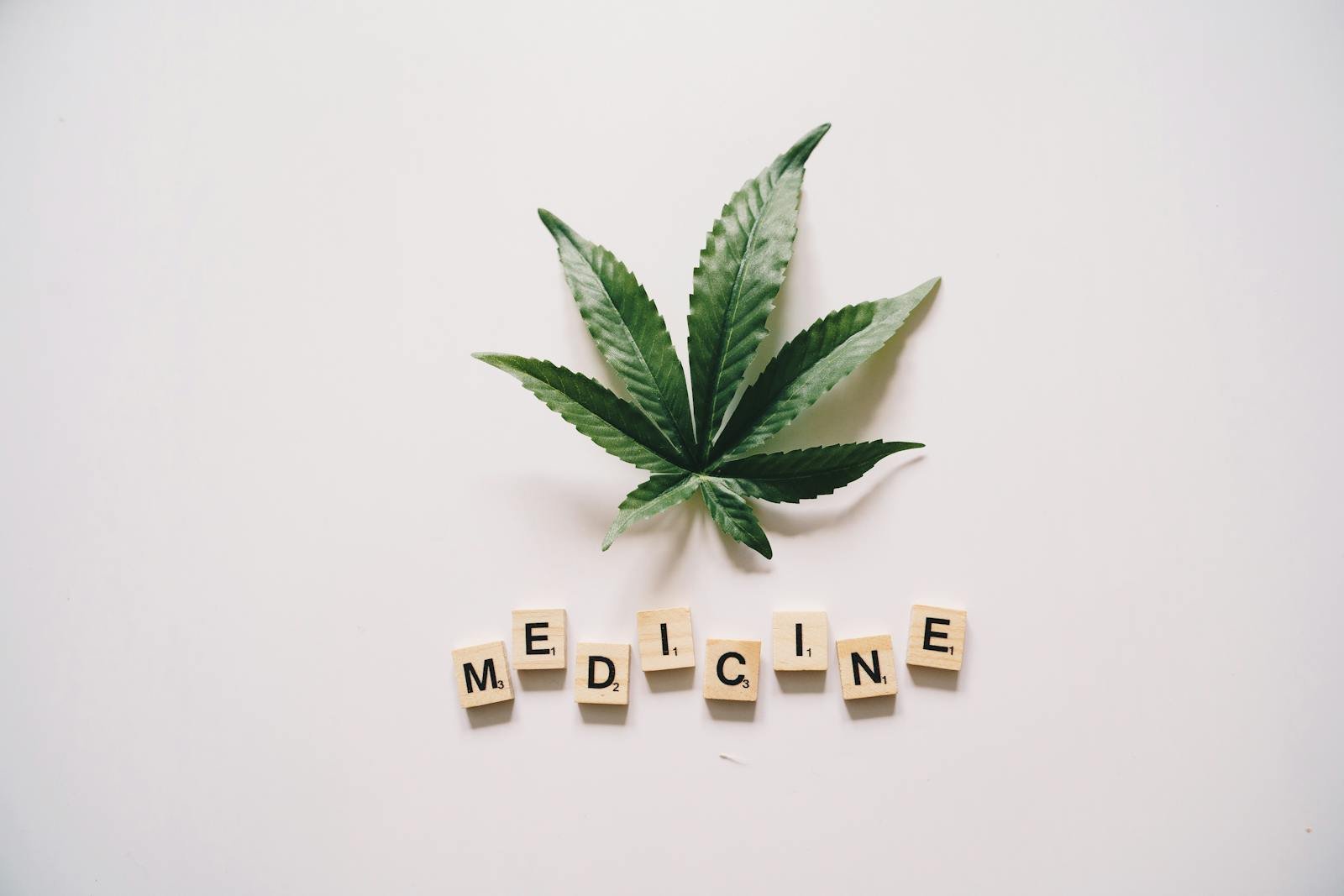 Cannabis leaf with wooden blocks spelling “MEDICINE” on white background