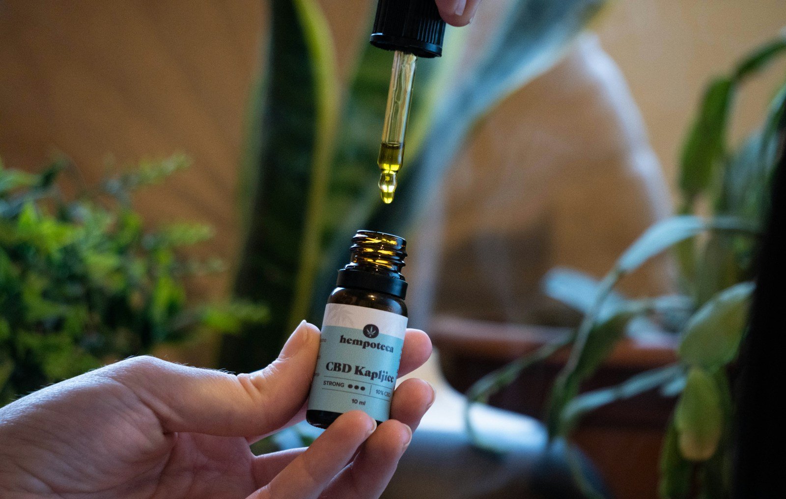 Hand holding Hempoteca CBD oil bottle with dropper releasing golden drops.